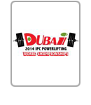 Dubai 2014 logo icon