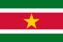 Surinamese flag