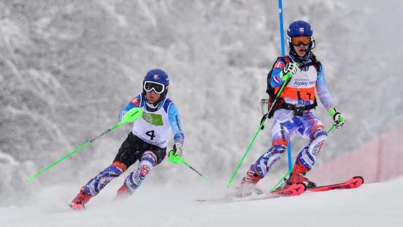 A female guide skier and a male blind alpine skier competing 