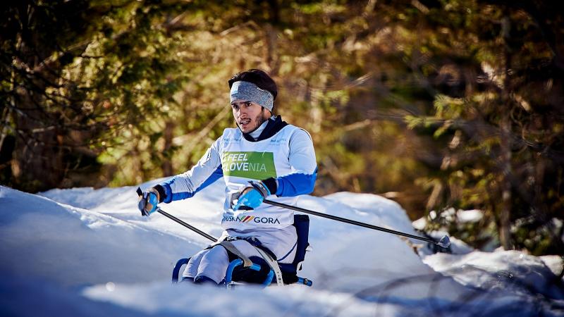A male sit skier competing in a snowy cross-country skiing course