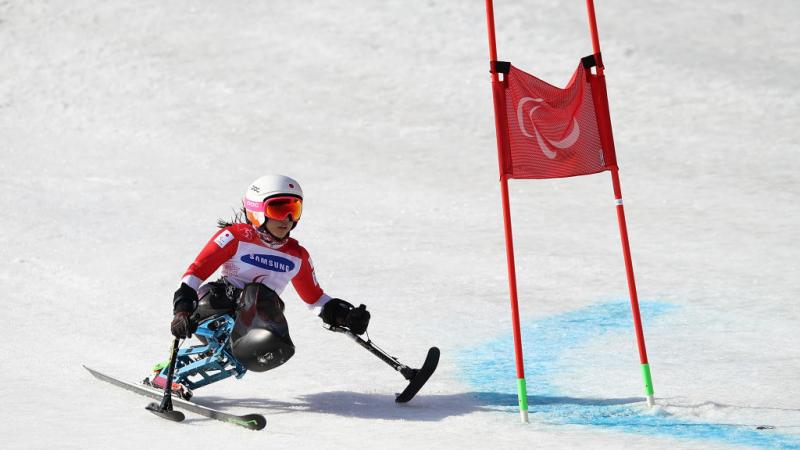 A female sit-skier crossing a flag in a giant slalom competition