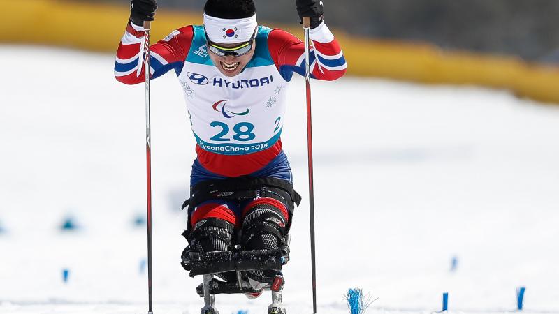 A man on sit ski's pushes himself towards the finish line with two sticks, one in each hand.