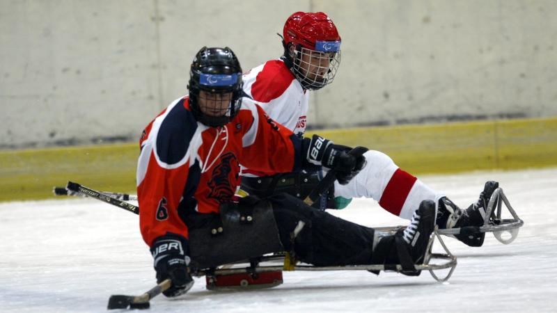 Netherlands ice sledge hockey