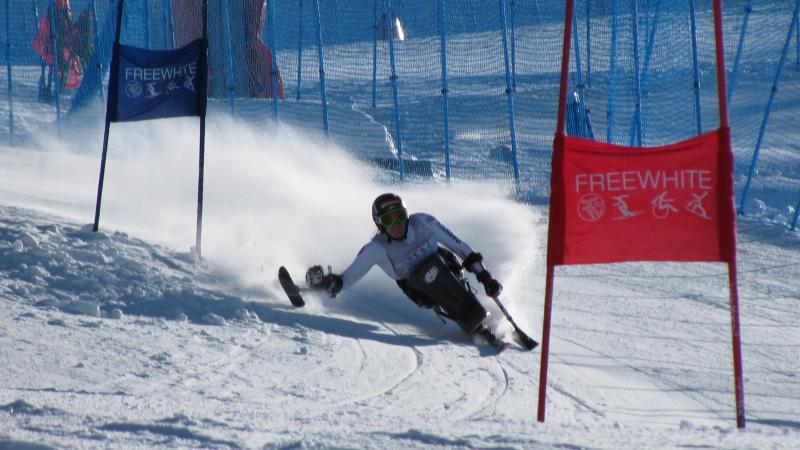 Austria's Claudia Loesch competes giant slalom on a sit ski