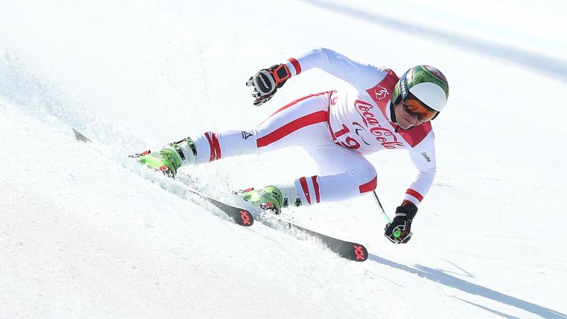 a male Para alpine skier in action