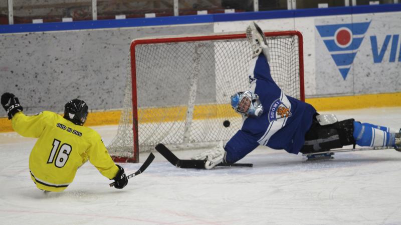 A man on sledge hockey scoring a goal against a goalkeeper trying to defend the puck