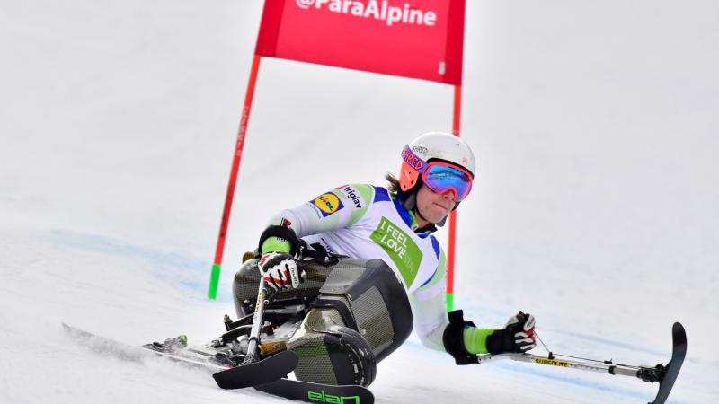 male Para alpine sit skier Jernej Slivnik goes round a gate on the slope