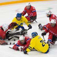 Allianz Fact of the Week Ice sledge hockey square