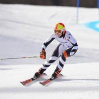 Fact of the week - Speed alpine skiing