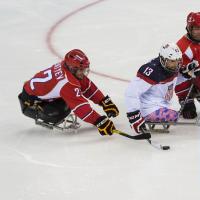 Fact of the week - Ice sledge hockey speed square