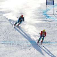 Allianz Fact of the week Alpine Skiing speed square