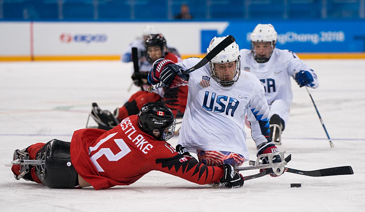 A Canadian Para ice hockey player challenging an USA player 
