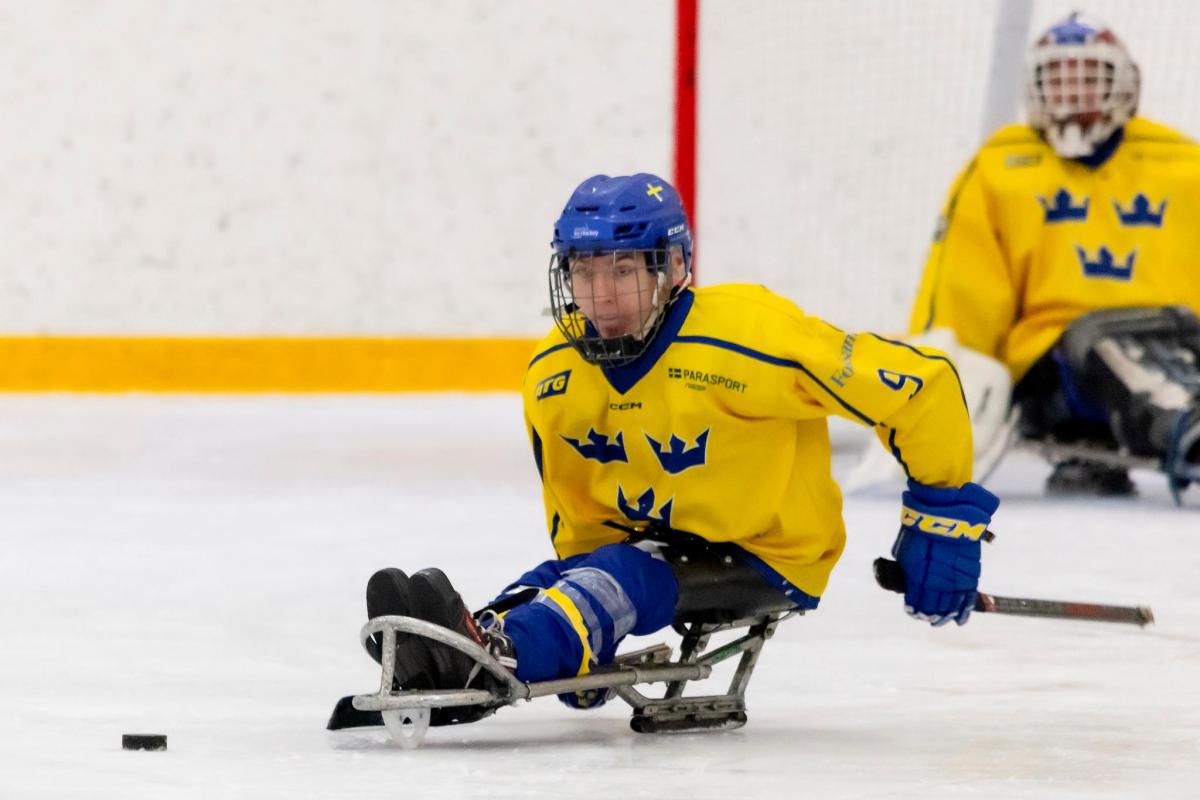 Para Ice Hocket athletes in action