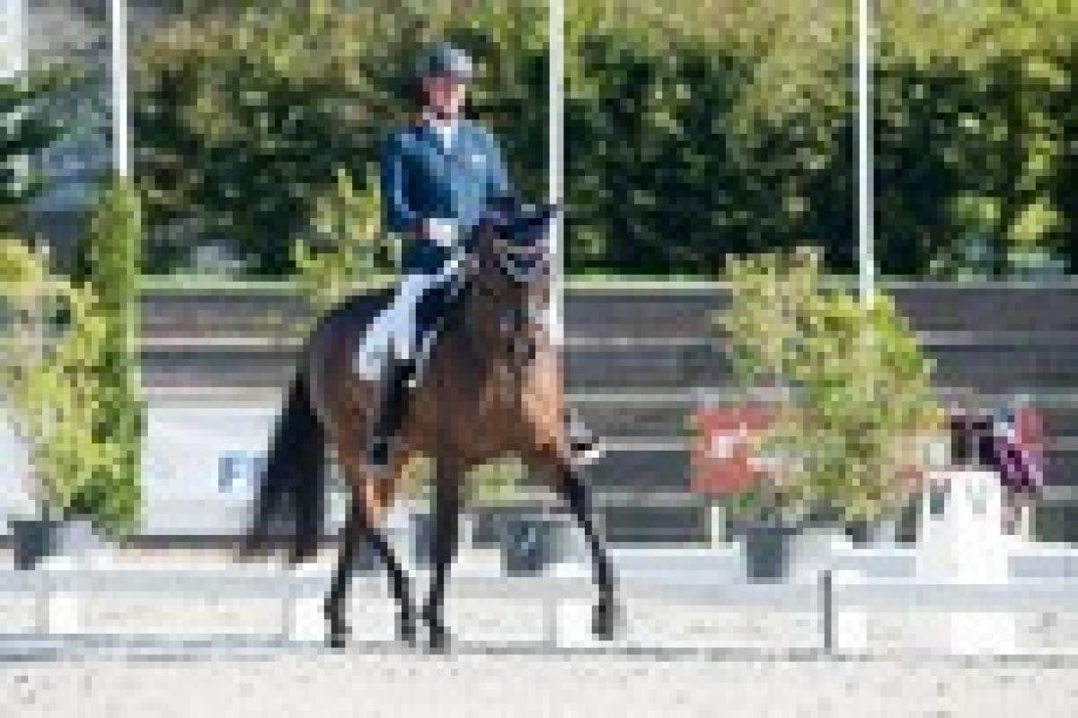 Frank Hosmar - equestrian The Netherlands’ Frank Hosmar