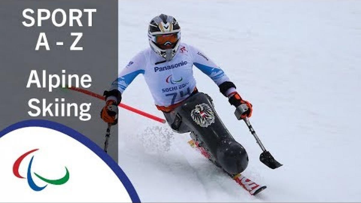 Sports of the Paralympic Winter Games: Para Alpine Skiing