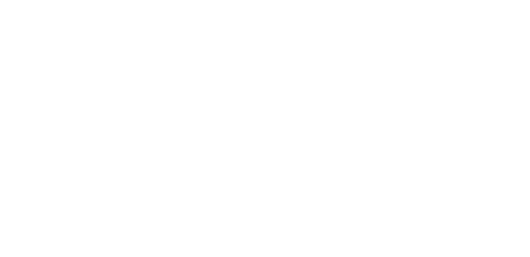 World Para Ice Hockey Wordmark