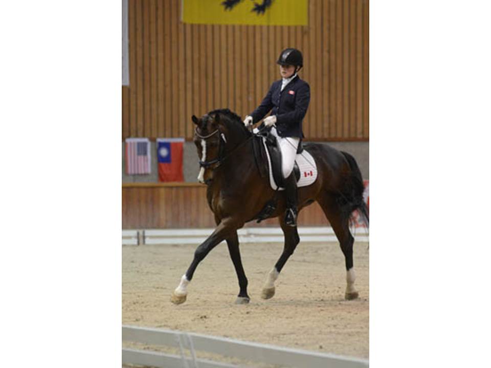 Equine Canada name team for Normandy