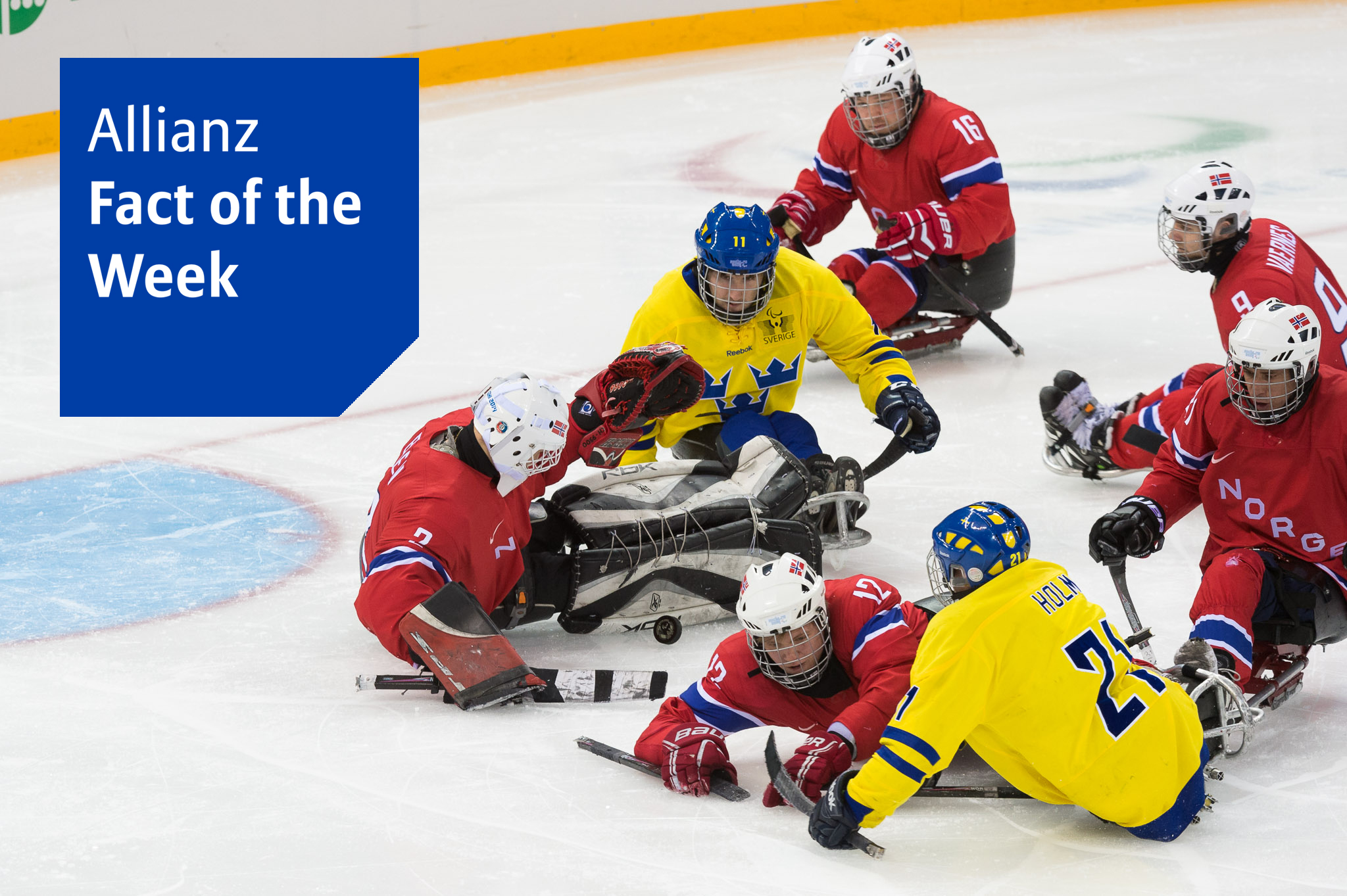 Ice sledge hockey