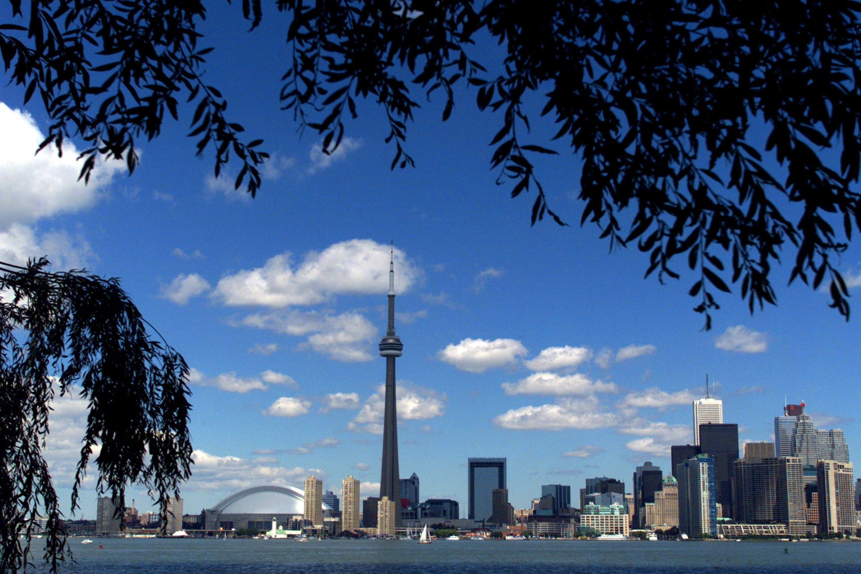 Bbfs Toronto