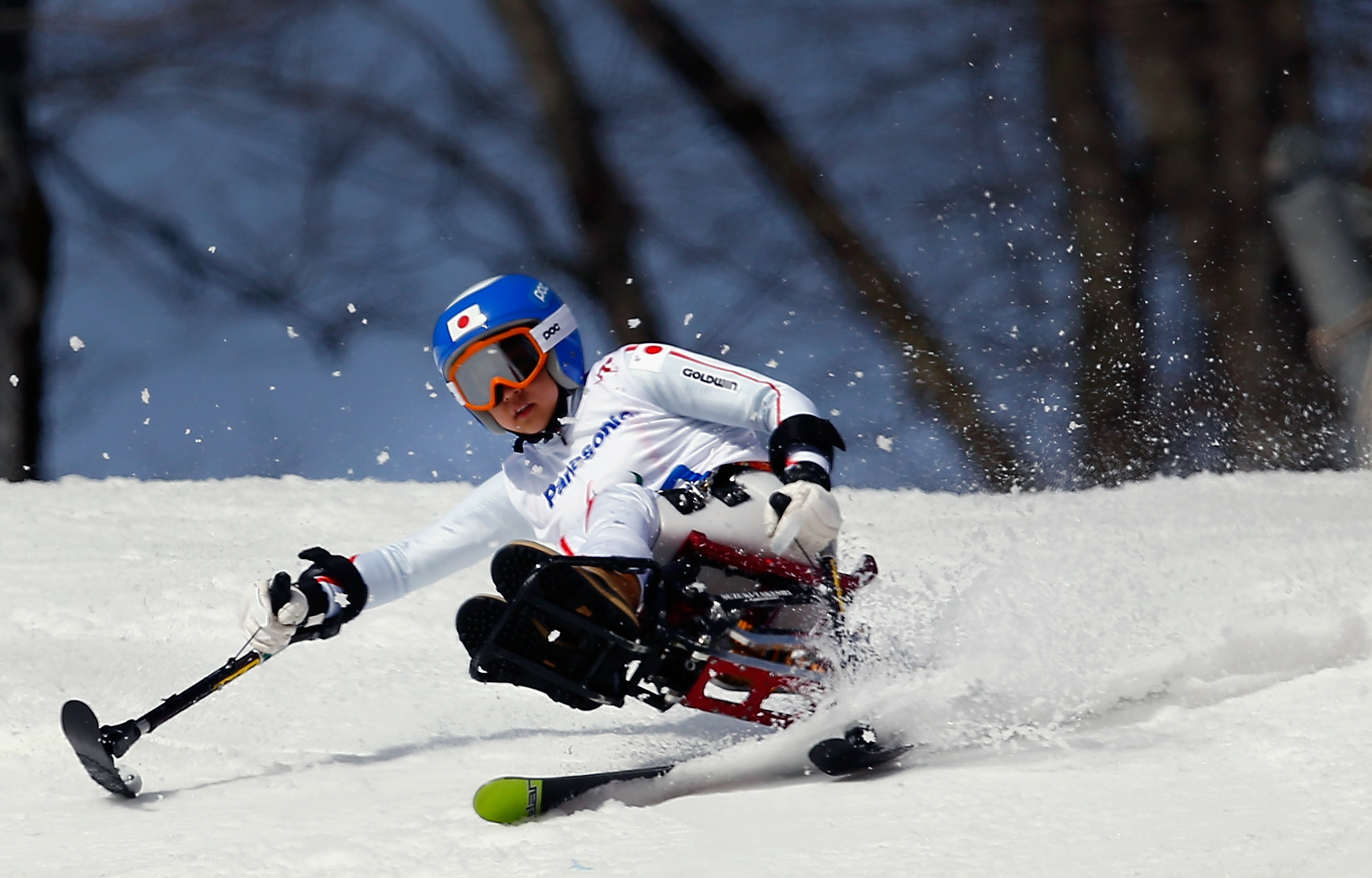 Alpine Skiing Downhill
