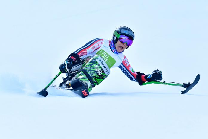 Male sit-skier makes a turn down the slopes