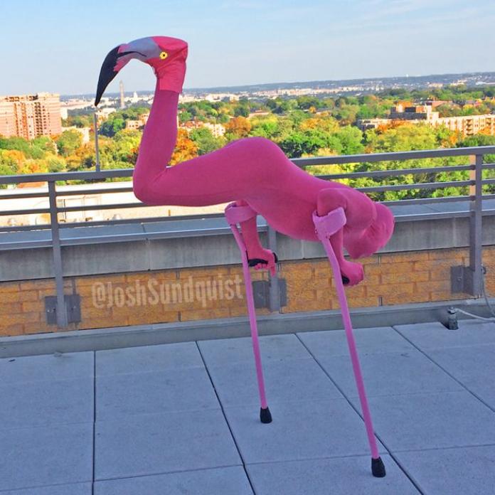 Josh Sundquist is wearing a pink flamingo costume. He is wearing pink tights and he is doing a crutch handstand using pink crutches. He is wearing a flamingo face mask on his foot. 