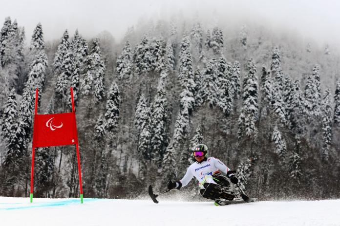 A male Para alpine skier races in front of snow-capped woods