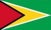 Flag of Guyana 