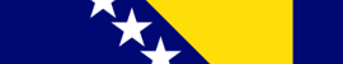 Bosnian flag