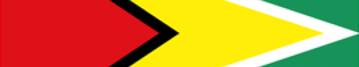Flag of Guyana 