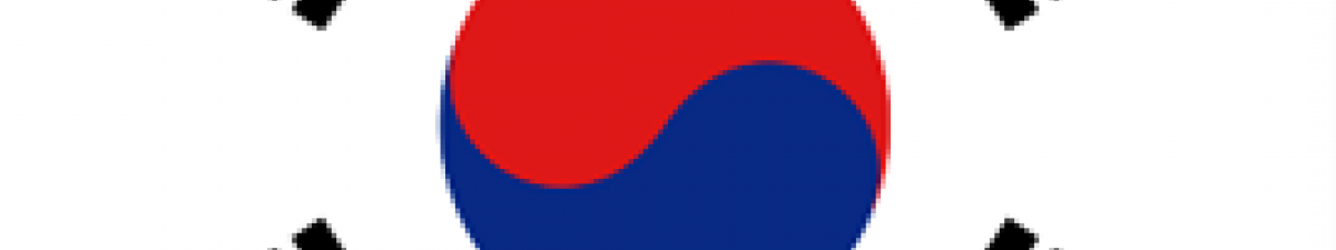 Republic of Korea's flag