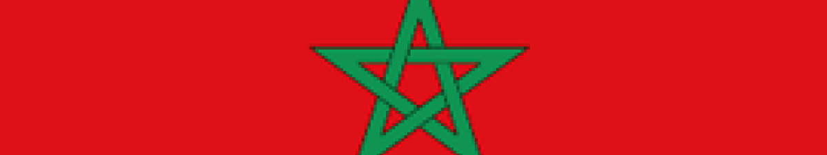Moroccan flag