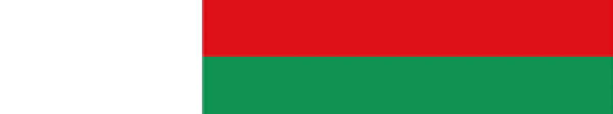 Madagascar Flag