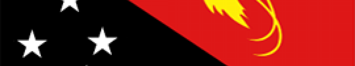 Papua New Guinea's flag