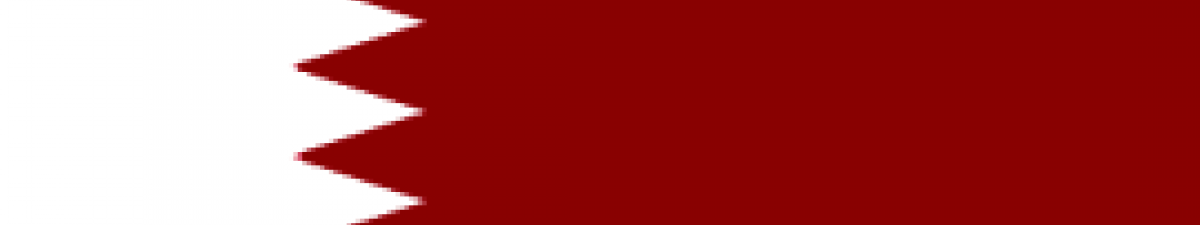 Qatar's flag