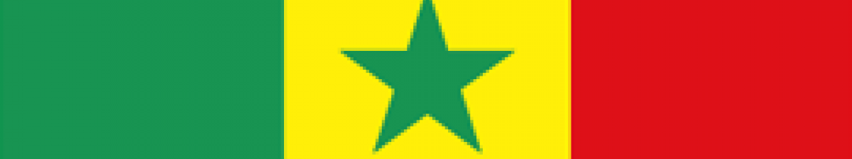 Senegalese Flag