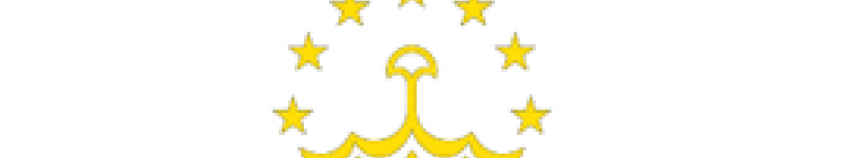 Tajikistan Flag
