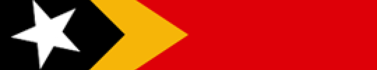 Timorese flag