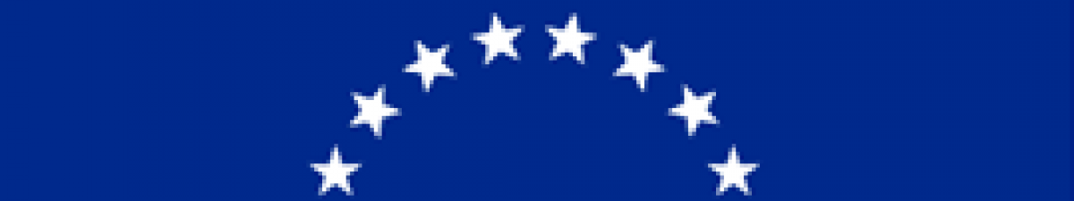 Venezuelan flag