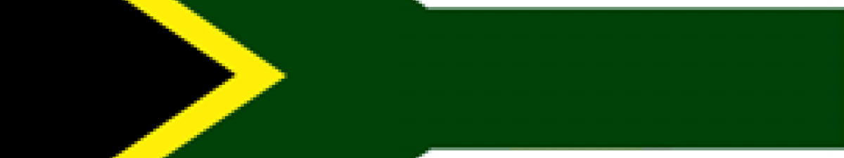 South African flag