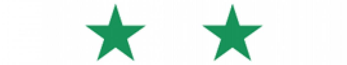 Syrian flag