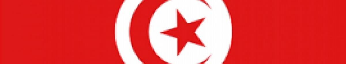 Tunisian flag