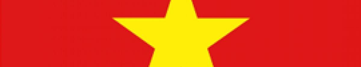 Vietnamese flag