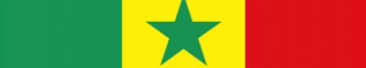 Senegalese Flag
