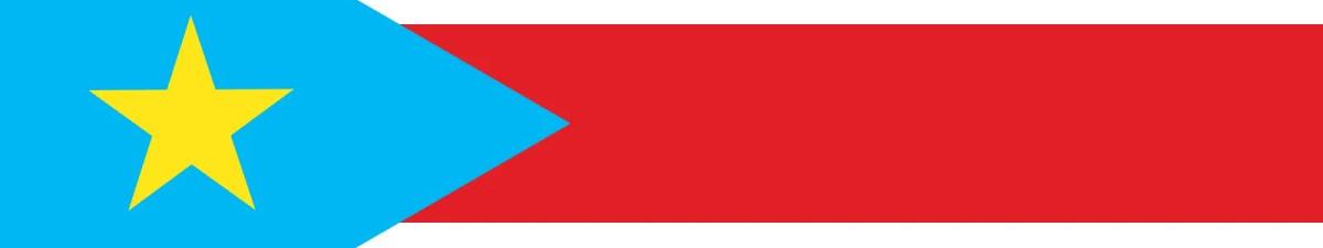 The blue, black, green, and red flag of South Sudan.