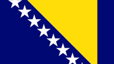 Bosnian flag