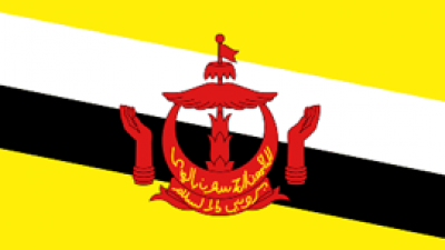 Brunei's flag
