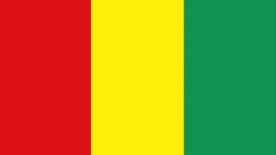 Guinea Flag