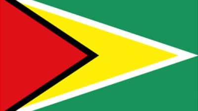 Flag of Guyana 