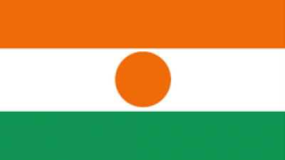 Niger Flag